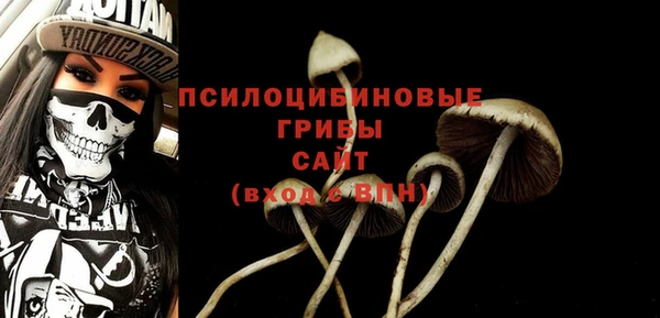 соль ск Алексеевка