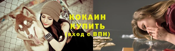 СК Алзамай