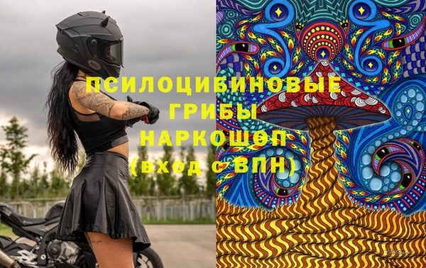 соль ск Алексеевка