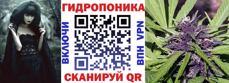 где найти наркотики  Махачкала  Шишки марихуана LSD WEED 